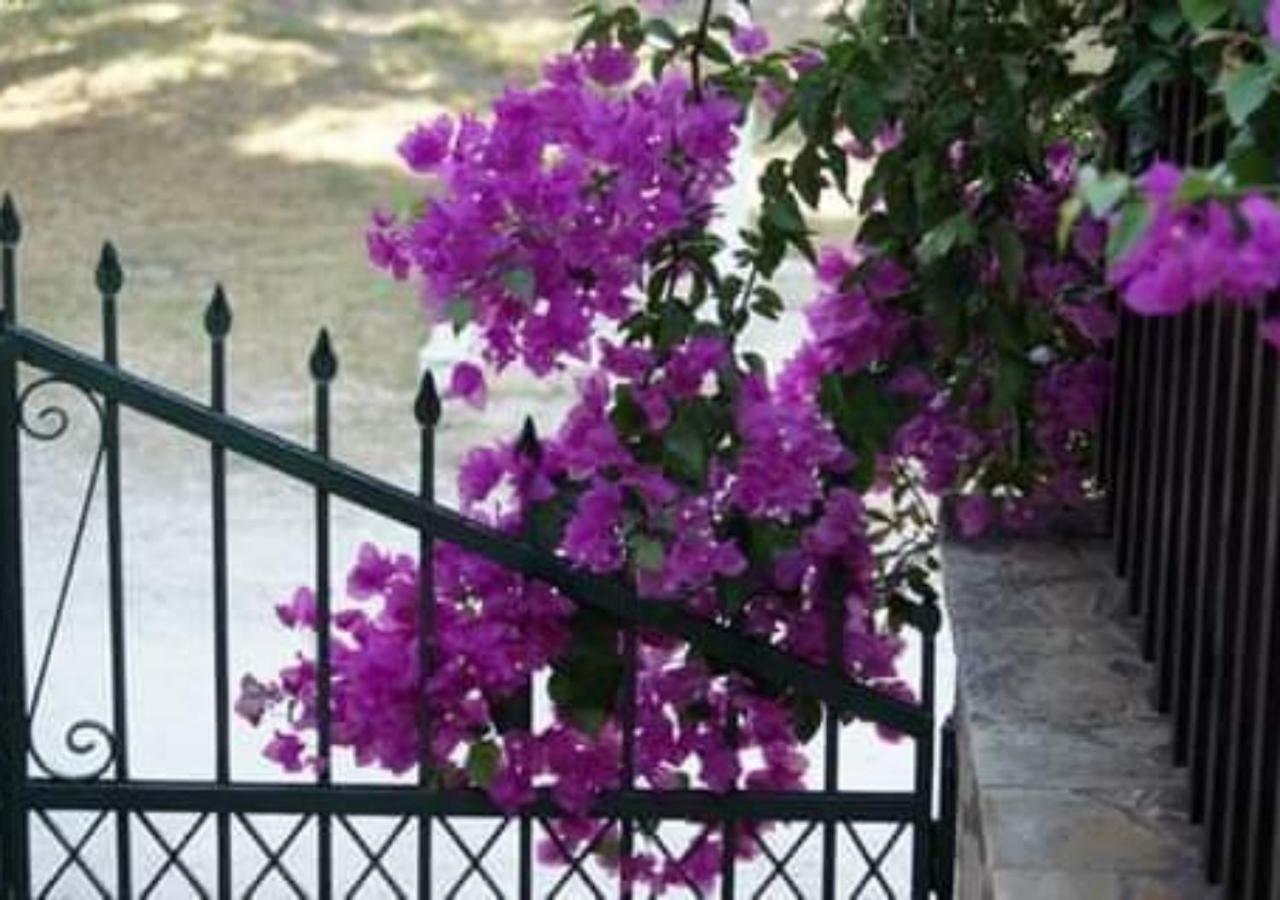Plános Vokamvilia Apartment & Studio Close To The Sea מראה חיצוני תמונה